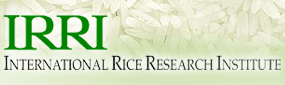 International Rice Research Institute, South Korea